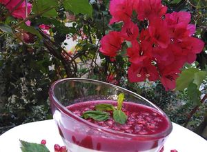 Une photo de Recette italienne panna cotta à la grenade