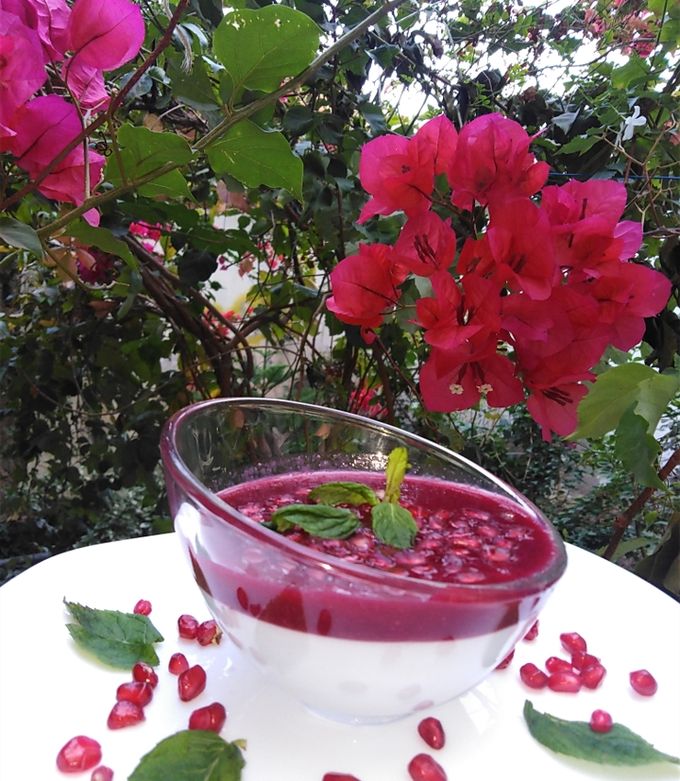 Une photo de Recette italienne panna cotta à la grenade