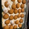 Banana pudding ll