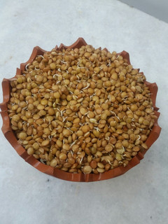 عکسی از دستور سبزه عدس