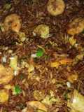Arroz chino a lo Ecuatoriano😋