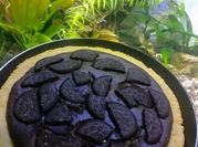Gambar brownis nutricake susu