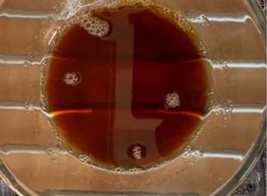 Foto di Caramello al Microonde