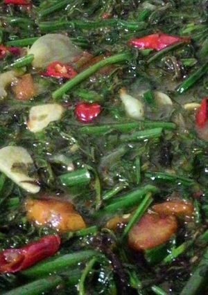 Foto resep Tumis pakis sederhana tapi nikmat