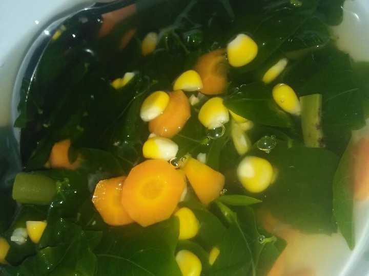 Langkah Mudah untuk Menyiapkan Resep  Sayur bening pelangi daun katuk yang Lezat Sekali, Sempurna