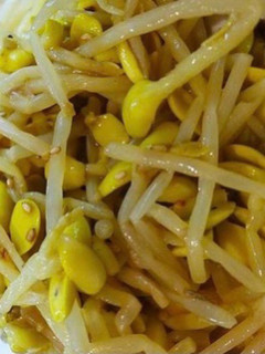 韓式小菜：涼拌黃豆芽 的食譜成品照片