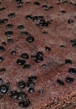 Foto resep Brownies kukus