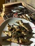 Sardinas / Espetos / Brasa