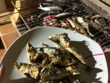 Sardinas / Espetos / Brasa