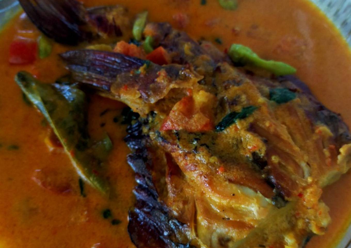 Mangut snapper