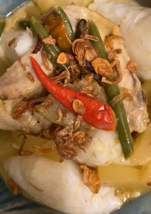 Foto resep Ketupat opor chicken+veggies