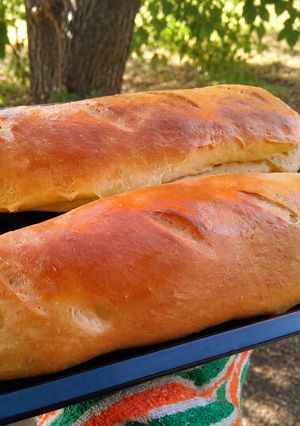 Una foto de Pan Casero en Horno Eléctrico