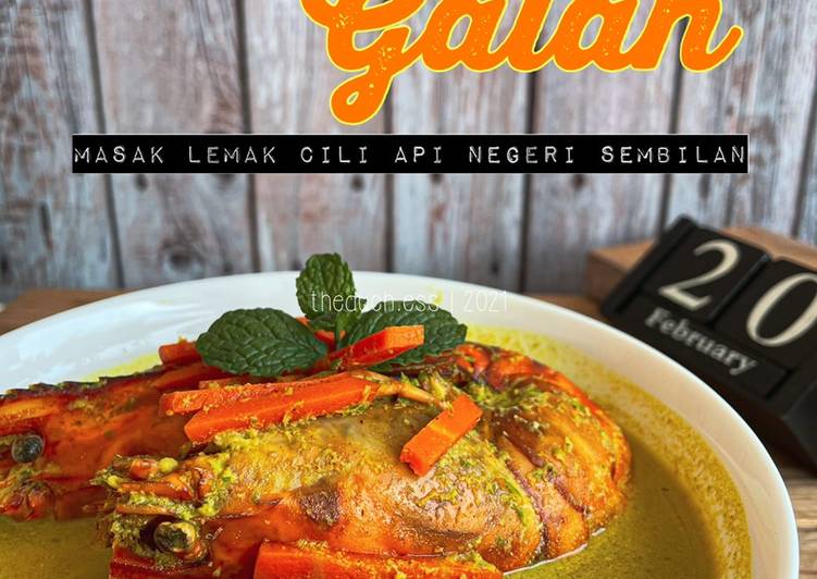 Resepi Udang Galah Masak Lemak Cili Api