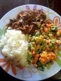 Carne desmechada (desmenuzada, ropa vieja), ensalada y arroz