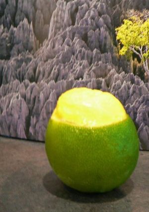 Une photo de Mon citron givré