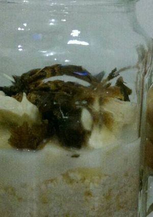 Foto resep Overnight oat
