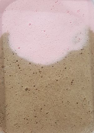 Foto resep Ice Cream Homemade