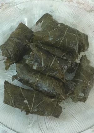 صورة لوصفة محشي ورق العنب صحي