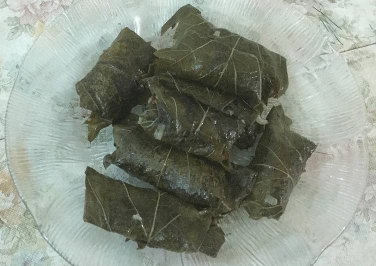 محشي ورق العنب صحي