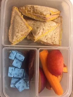 عکسی از دستور ظرف تغذیه تارا