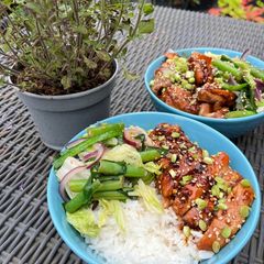 A picture of Pan-Fried Honey-Soy Garlic Chicken 🍯🧄🍗.