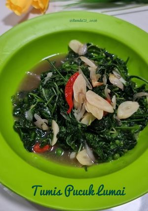 Foto resep 221. Tumis Pucuk Lumai