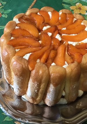 Une photo de Charlotte aux abricots, orange et manzana