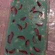 Puding sutra cantik leccyberry
