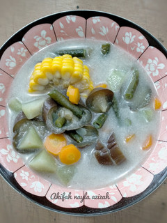Foto resep 119.Sayur lodeh