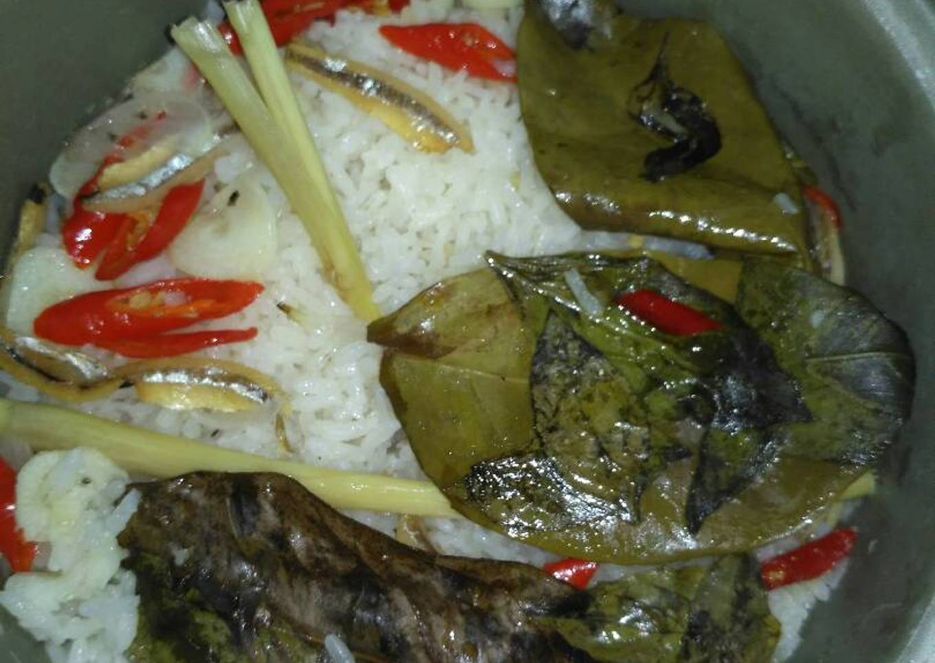 Nasi magicum ikan teri lewitt kecil