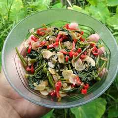 รูปของ Cah Kangkung ala Enyot