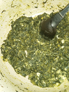 عکسی از دستور نرگسی اسفناج