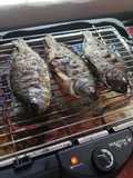 Tilapia asada