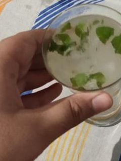 ताजा नींबू सोडा (Taza nimbu soda recipe in hindi) रेसिपी मुख्य फोटो