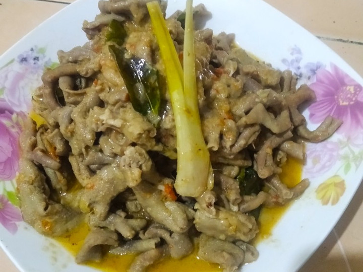 Wajib coba! Resep praktis membuat Usus Ayam Bumbu Rendang yang sedap