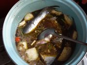 Gambar rawon ikan