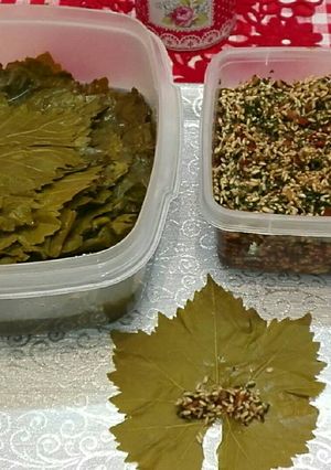 صورة لوصفة ورق عنب بدبس الرمان ❤