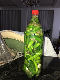 عکسی از دستور خیارشور خانگی