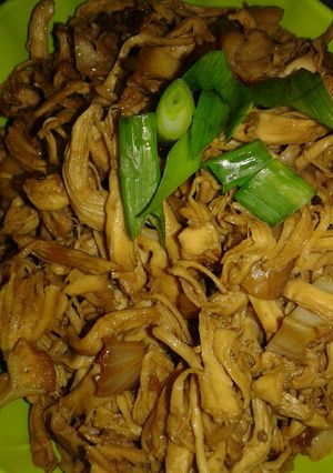 Foto resep Ayam Suwir Kecap
