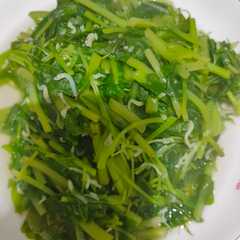 川燙小魚莧菜-レシピのメイン写真