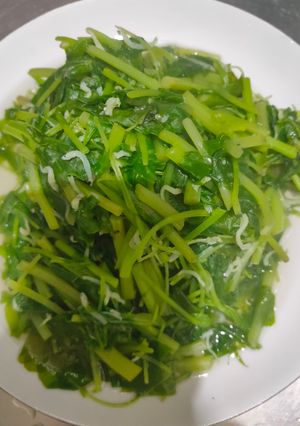 川燙小魚莧菜 的食譜成品照片