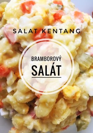 Foto resep Salat Kentang Ceko ~ Bramborový Salát 🇨🇿 #czechfood