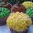 Muffins de vainilla decorados / Cupcakes