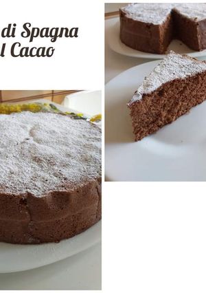 Foto di Pan di Spagna al Cacao Gluten Free