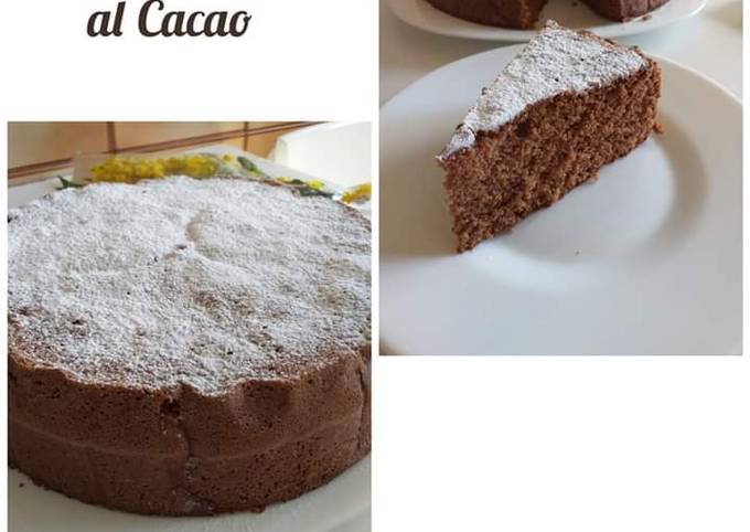 Pan di Spagna al Cacao Gluten Free