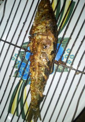 A picture of Gasasshen kifi.