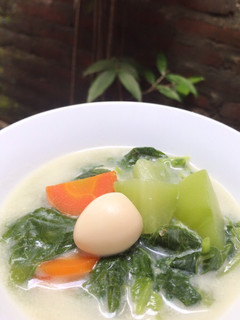Foto resep Sayur Gurih Santan (Bobor Bayam)