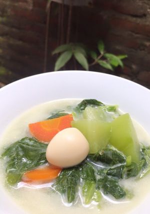 Foto resep Sayur Gurih Santan (Bobor Bayam)