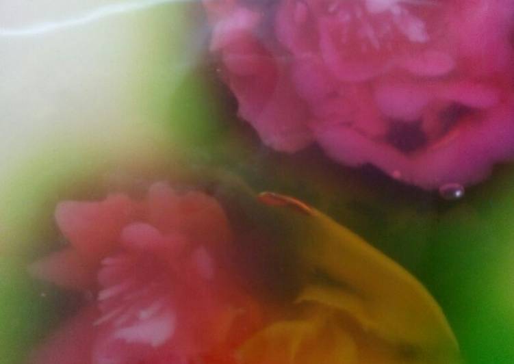Resep masakan Jelly art simple | Bahan Membuat Jelly art simple Yang Enak dan Simpel