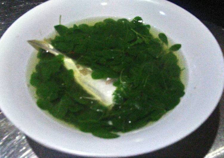 Cara Menyiapkan Sup ikan daun kelor yang nikmat